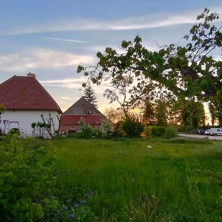 Domaine Ravy-Lilas Saint-Symphorien-sur-Saone 外观 照片